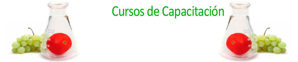 ct7.jpg